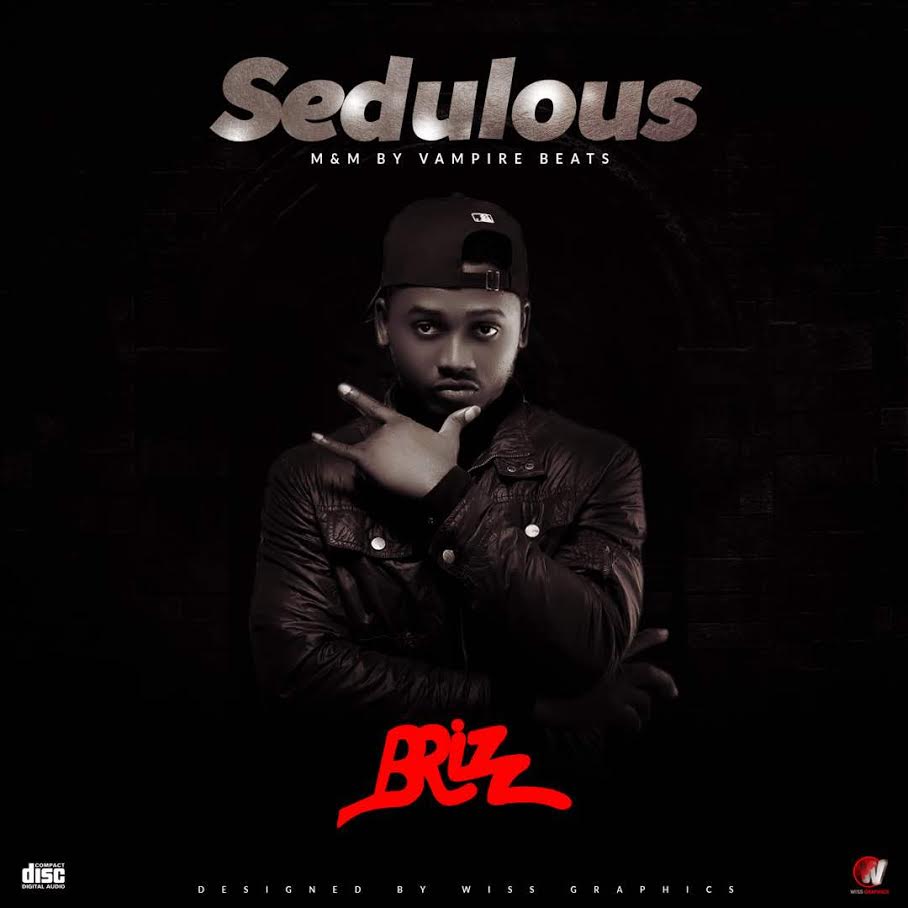 Brizz - Sedulous (M&M By Vampire Beatz)