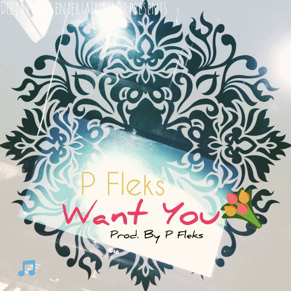 Pfleks - Want You