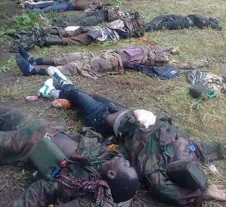 Graphic Photos:?Nigerian troops kill several Boko Haram terrorists in Yobe State