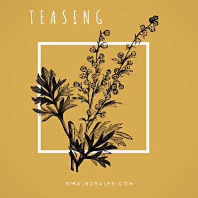 Nosa Lee - Teasing 