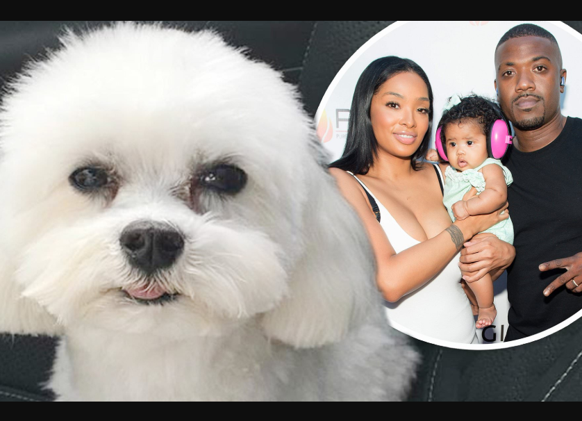 Ray J and his wife Princess Love announce $20k reward to anyone that finds their 3-year-old Dog that was allegedly dognapped