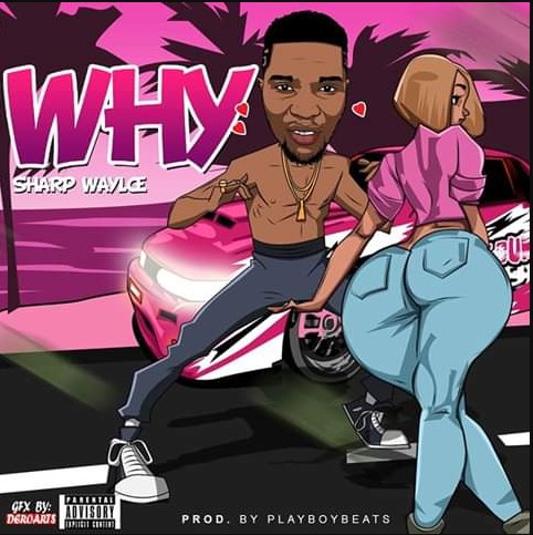 Sharp Waylce - Why