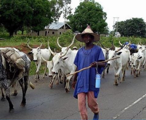 FG opens radio station to reach herdsmen across the country