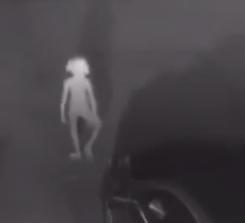 Mysterious creature resembling Harry Potter