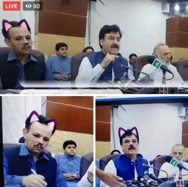 Lol. Someone accidentally used cat filter as parliament debate was live streamed on Facebook