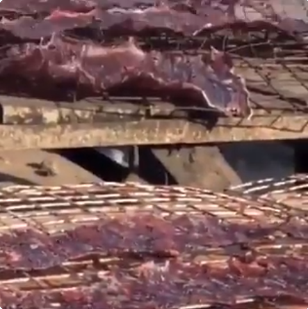 Shocking video shows the unsanitary conditions under which Kilishi is made