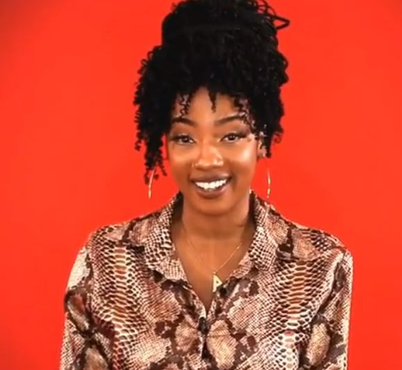 Simply Tacha, Kim Oprah, Sir Dee: Meet the 21 new #BBNaija housemates (Photos)