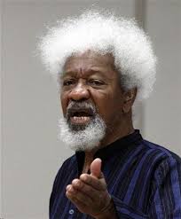 Don?t try it, Ruga settlements will set Nigeria on fire ? Soyinka