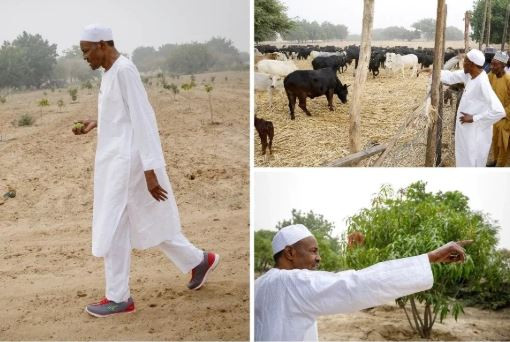 Presidency issues statement on the Ruga settlement backlash, says