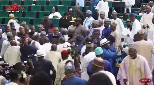 Mace almost snatched as House of Representatives members fight over Minority Leadership position (video)