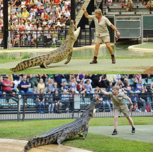Robert Irwin shares photo of himself feeding same crocodile that his late father, Steve Irwin fed at the same spot 15-years ago