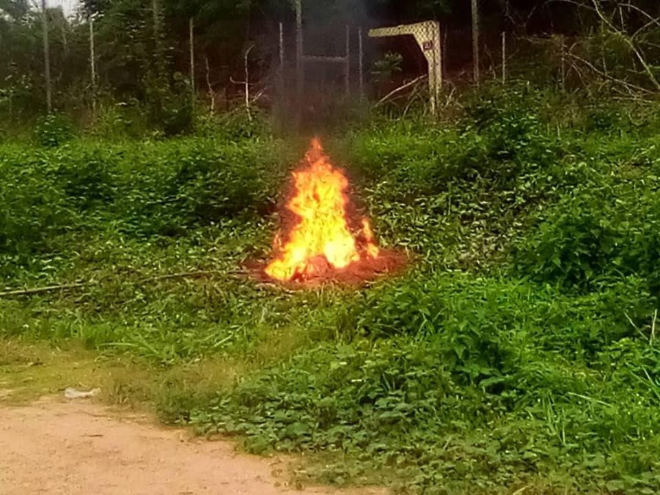 Exam malpractices: Management of The Polytechnic Ibadan burns phones seized from students