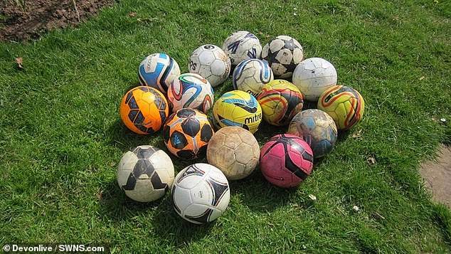 Landlady, 56, is fined and faces prosecution for theft for donating footballs kicked into her garden to charity (Photos)
