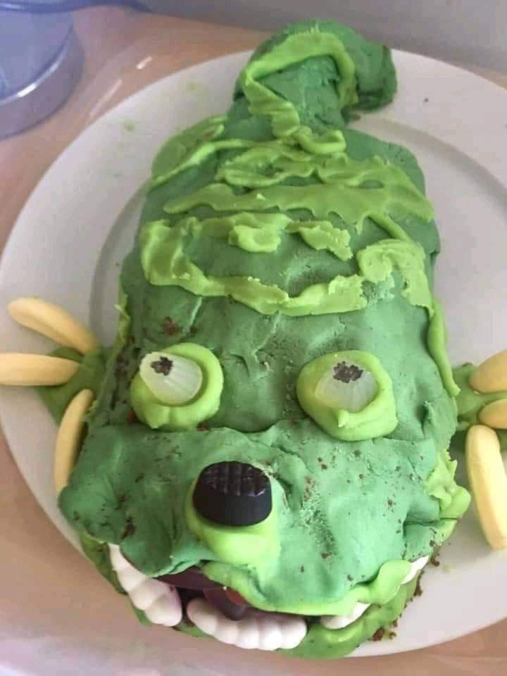  The crocodile cake he ordered vs the monster he got