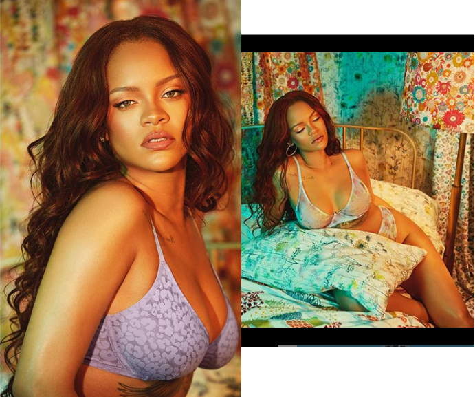 Rihanna flaunts her ample assets as she poses in just bra and panties (Photos)