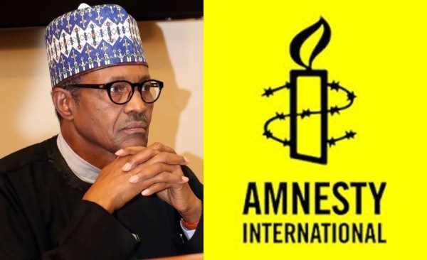 Presidency places Amnesty Nigeria on security watch list