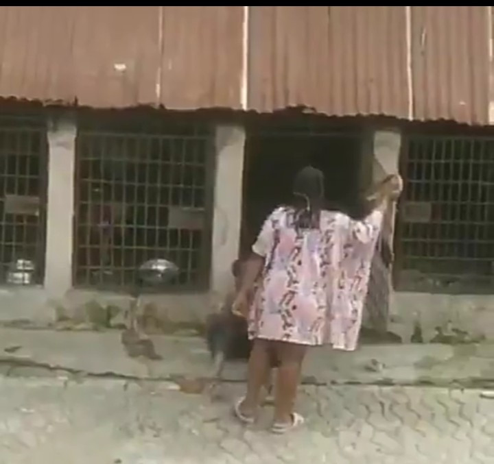 Outrage as Nigerian woman is filmed flogging a child and locking him up in cage with fierce dogs