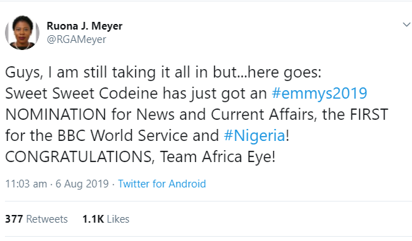 Nigerian journalist Ruona Meyer receives Emmy nomination for documentary 