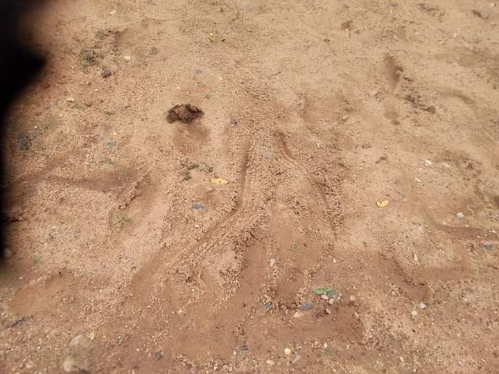  Unidentified young woman raped to death in front of a church in Benue (graphic photos)