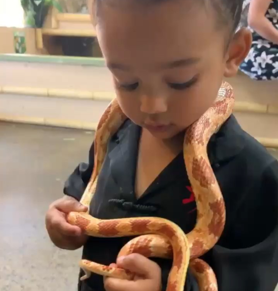 "My brave girl" Kim Kardashian says as her youngest daughter Chicago plays with a live snake (video)