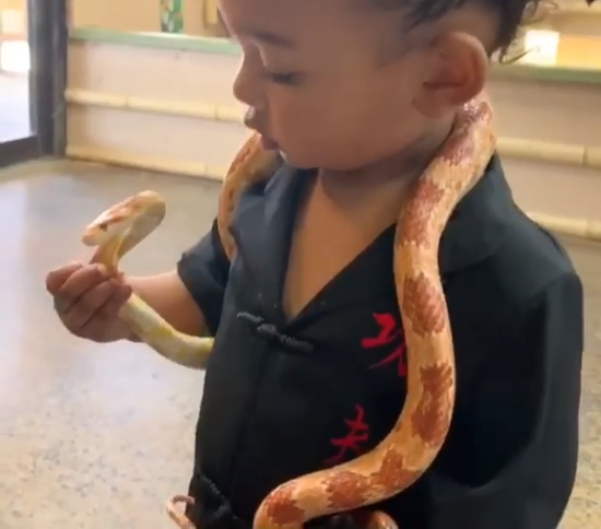 "My brave girl" Kim Kardashian says as her youngest daughter Chicago plays with a live snake (video)