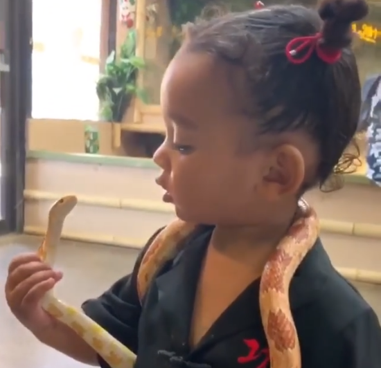 "My brave girl" Kim Kardashian says as her youngest daughter Chicago plays with a live snake (video)