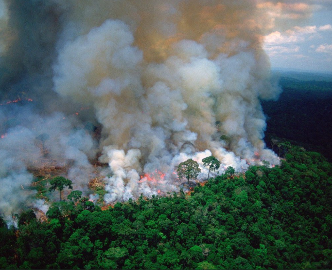 Miguel joins others to condemn the lack of worldwide outrage over the Amazon rainforest fires