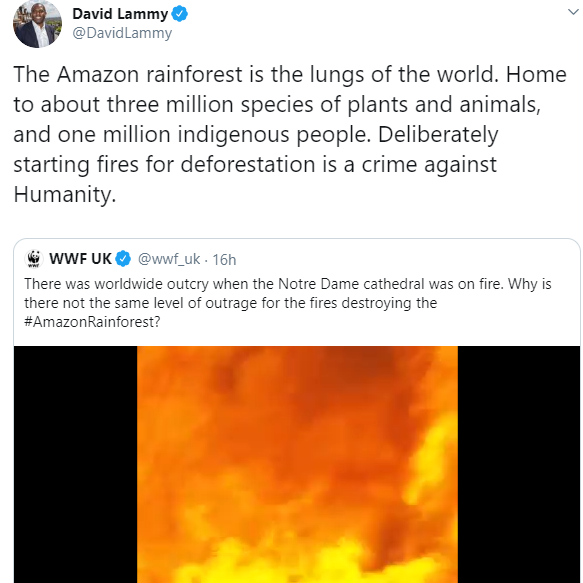 Miguel joins others to condemn the lack of worldwide outrage over the Amazon rainforest fires