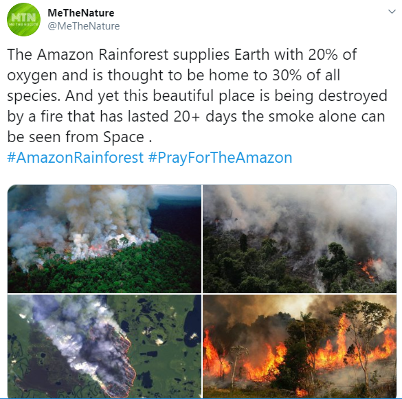 Miguel joins others to condemn the lack of worldwide outrage over the Amazon rainforest fires