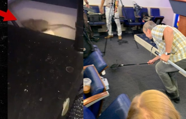 Reporters