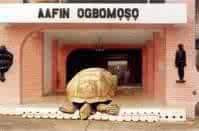  Alagba, the oldest Tortoise in Africa living in Soun of Ogbomoso