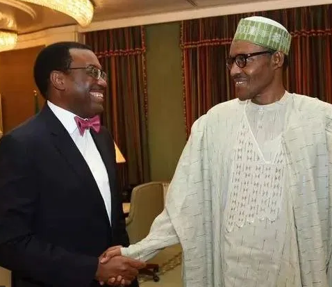 Buhari nominates?Akinwunmi Adesina for re-election as President of African Development Bank (AfDB)