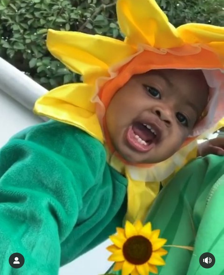 The Wades transform into plants for Halloween (photos)