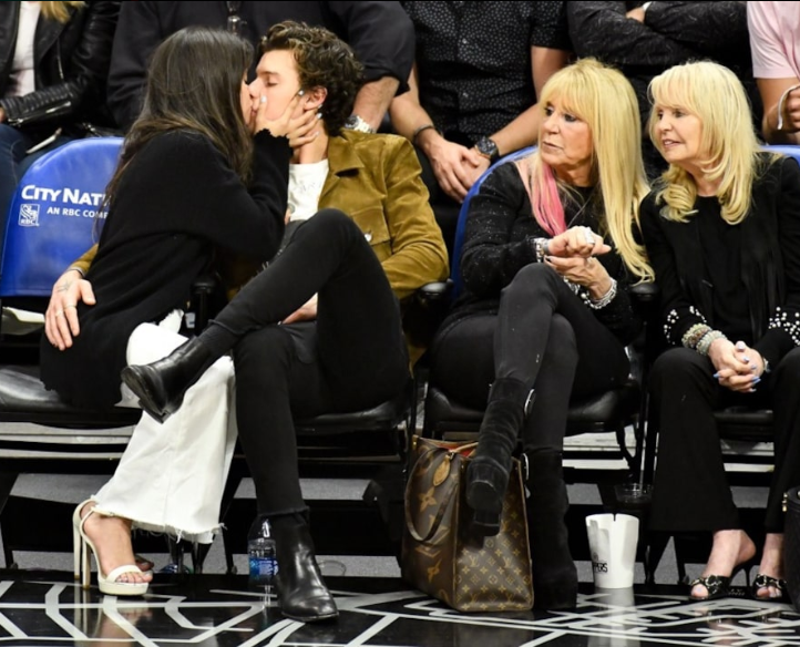 Camila Cabello and Shawn Mendes pictured making out during basketball game (Photos)