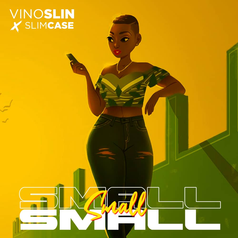 Vinoslin X Slimcase - Small Small