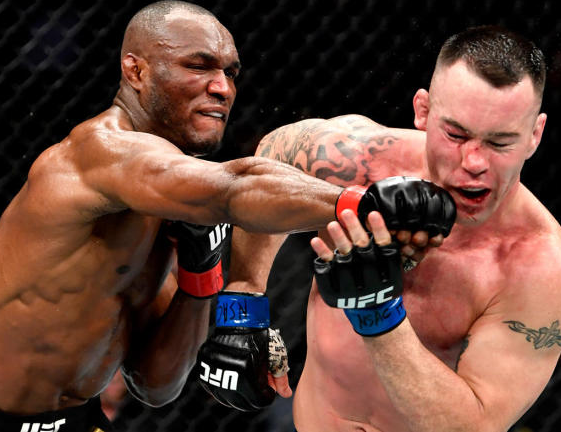 #UFC245: Nigeria