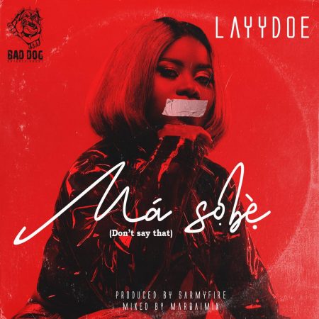LaYYdoe - Ma Sobe
