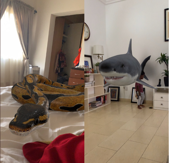 Google gives people a chance to view animals in 3D in their homes and Nigerian parents are having fun with it (photos)