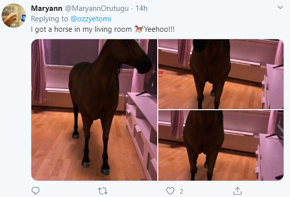 Google gives people a chance to view animals in 3D in their homes and Nigerian parents are having fun with it (photos)