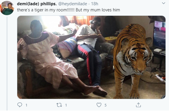 Google gives people a chance to view animals in 3D in their homes and Nigerian parents are having fun with it (photos)