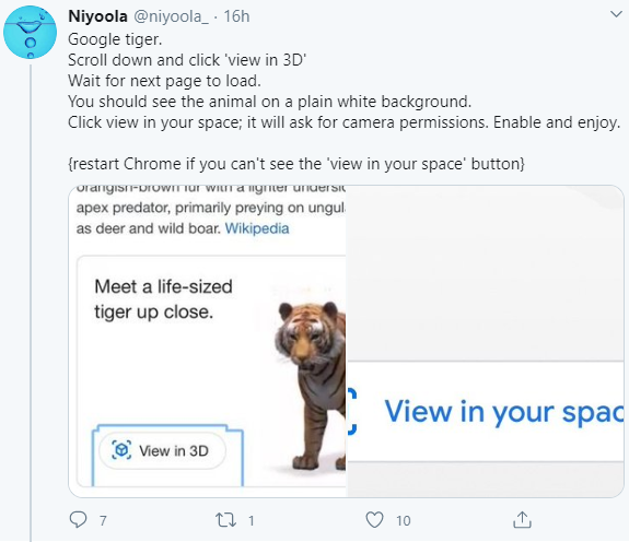 Google gives people a chance to view animals in 3D in their homes and Nigerian parents are having fun with it (photos)