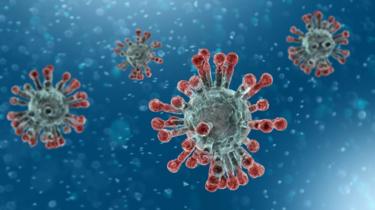 Coronavirus which causes respiratory problems
