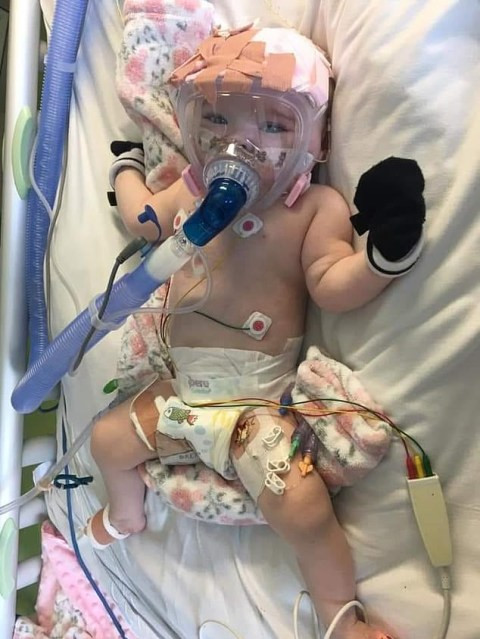 Heartbreaking photos of six-month-old 
