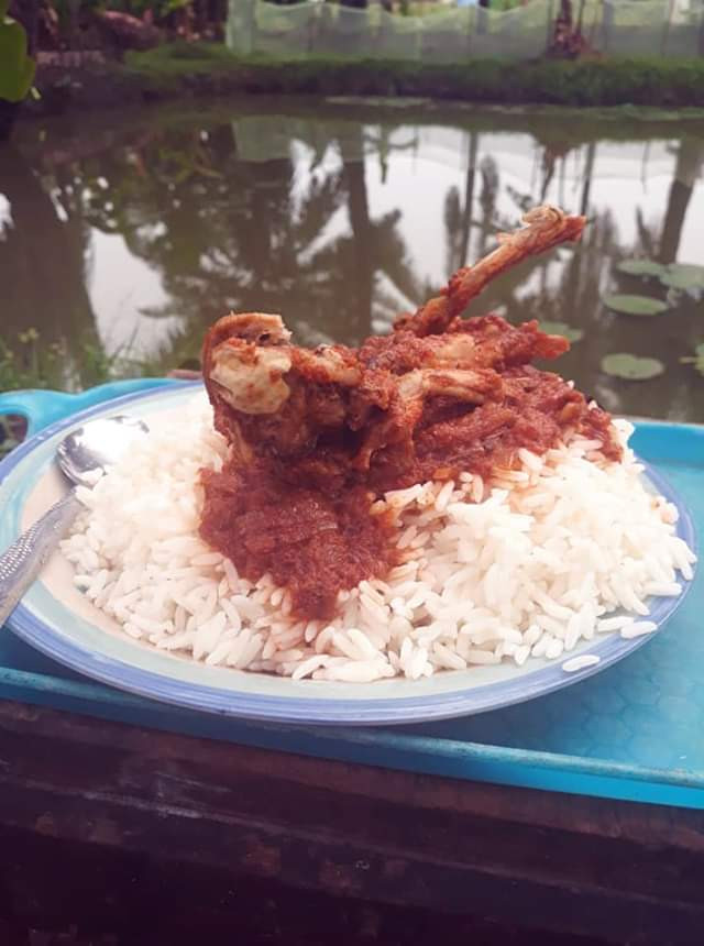 Nigerian man makes stew with Frog meat (photos)