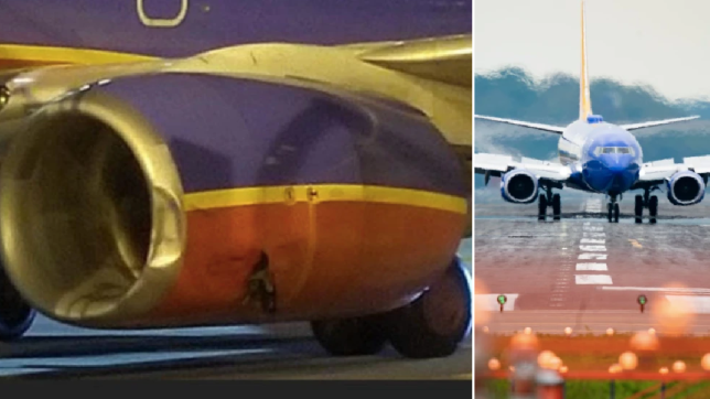 Man run over and killed by Boeing 737 airplane after going for walk on airport runway