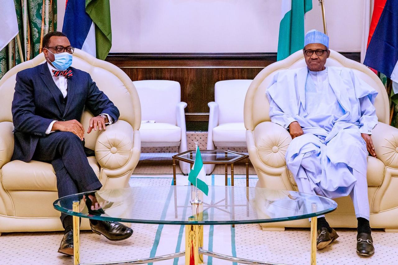 Akinwumi Adesina meets Buhari amid AfDB crisis (photos)