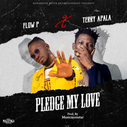 Music: Terry Apala x Flow P - Pledge My Love