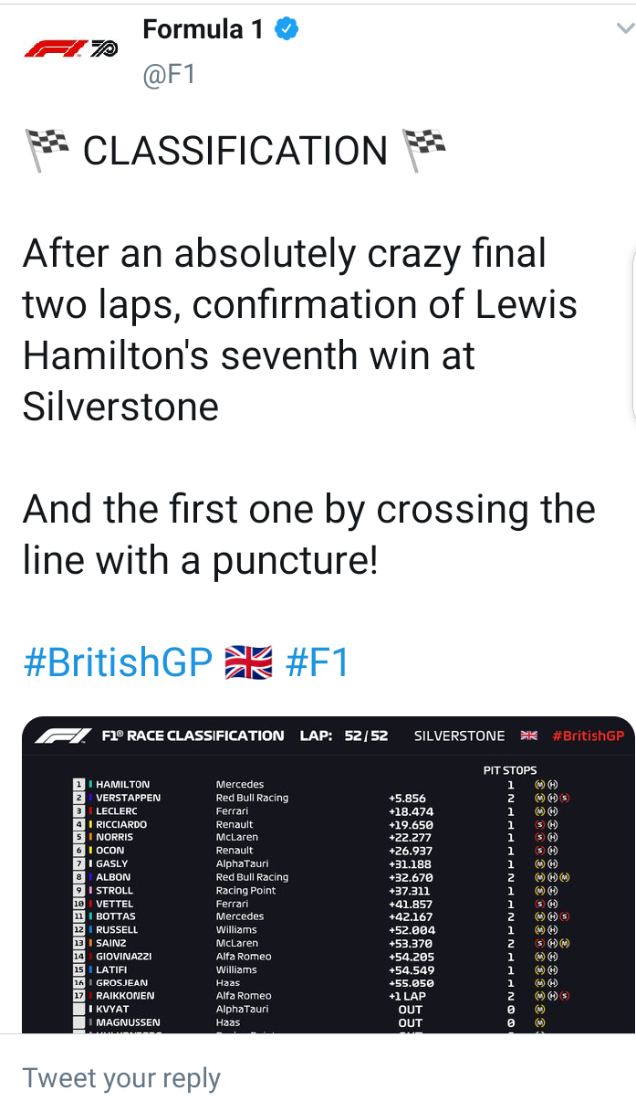 Lewis Hamilton wins British Grand Prix for 7th time despite suffering tyre puncture during final lap (photos)