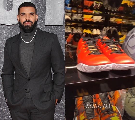 Drake shows off his massive collection of Kobe sneakers to pay tribute to the NBA legend on what would have been his 42nd birthday (Video)