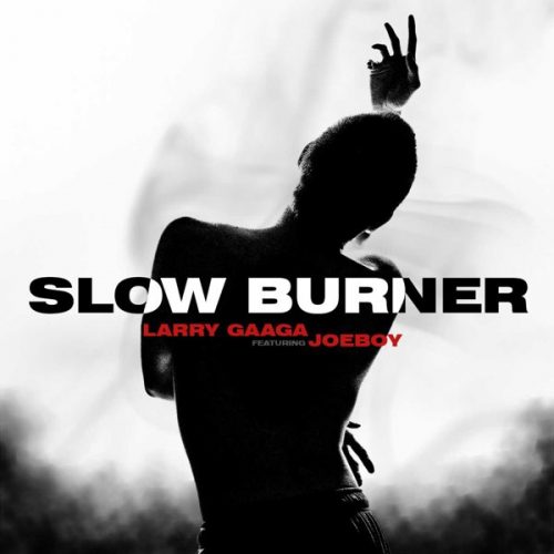 Larry Gaaga Slow Burner mp3